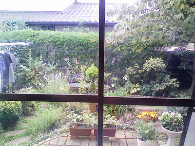 ピュアリフレ施工完了