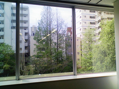 貼り付け比較　左側貼り付け完了です。