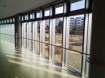 暑さ対策フィルム施工