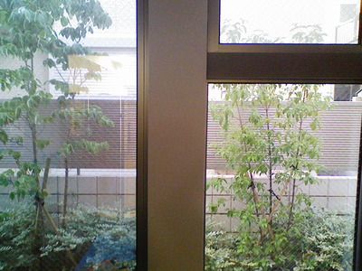 アンバー３５施工比較です。