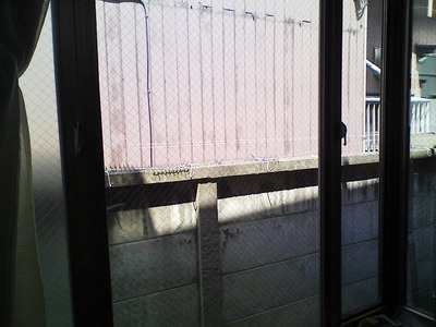 オスロ貼り付け前です。