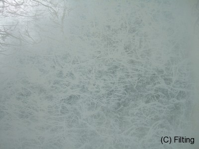 アルタイル柄です