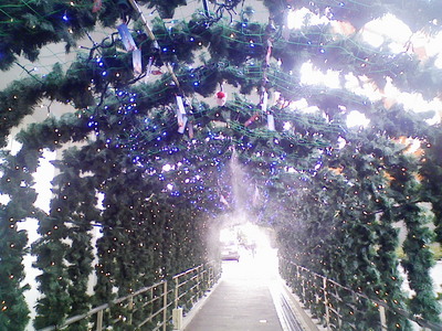 東京タワー　ミスト