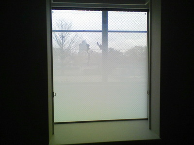 イルミナ貼り付け完了