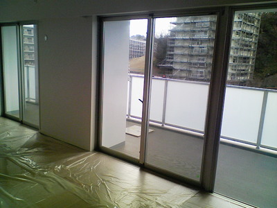 ピュアリフレ施工前です