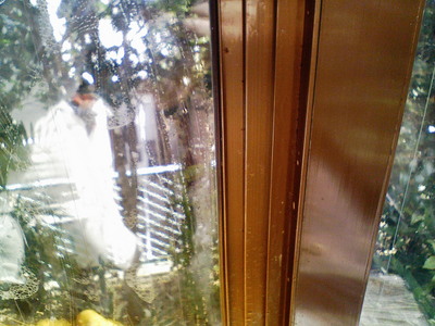 防犯フィルム貼りつけ