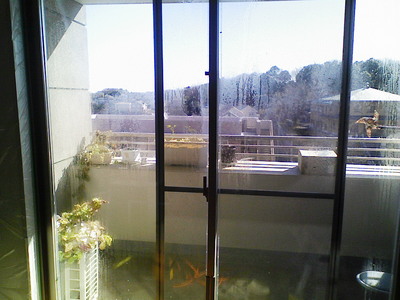 ＳＨ２ＣＬＡＲ施工前